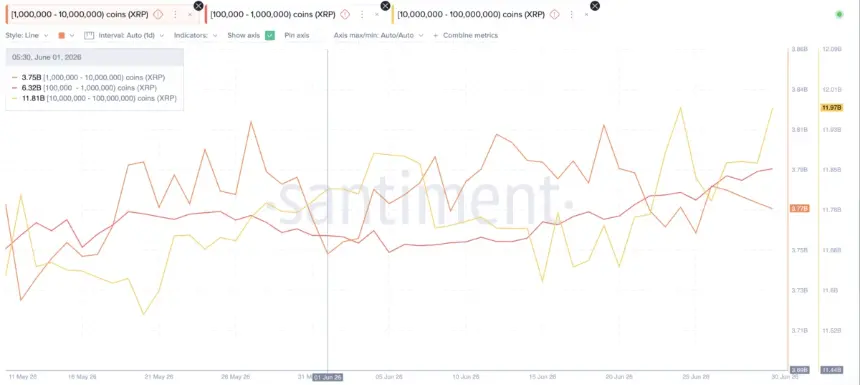 XRP Whale Accumulation in June