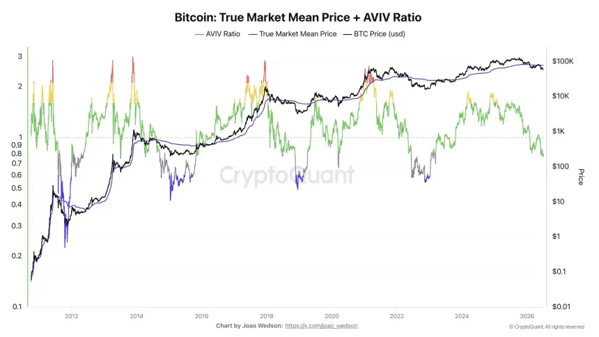 Bitcoin chart showing TMM at $76.7K and the AVIV ratio near 0.8, indicating active investors face an average 20% unrealized loss while the TMM acts as resistance.