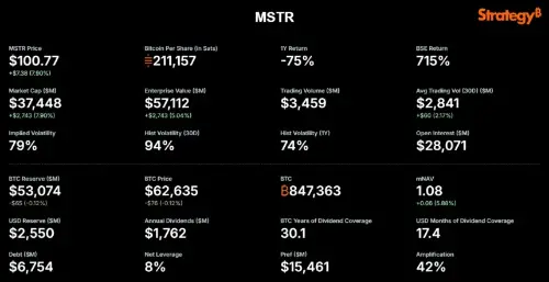 Michael Saylor 对比特币未来十年主导地位的 9 个预测