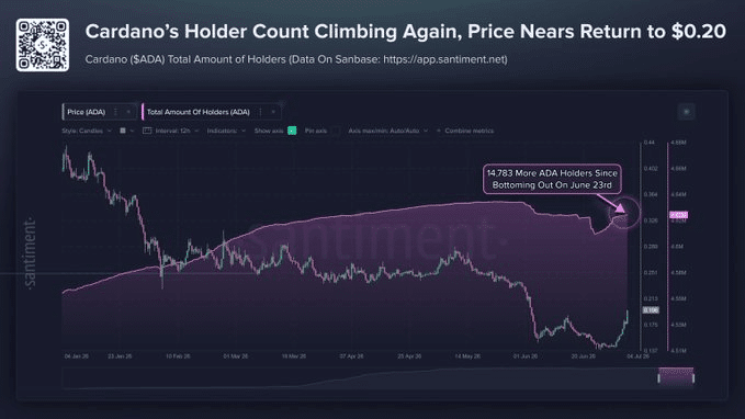 Cardano