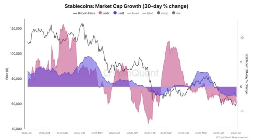 Stablecoin Market Cap Growth