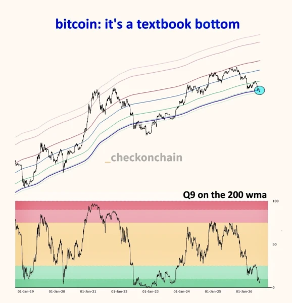 Analysts Declare 'Textbook Bitcoin Bottom' as Speculators Eye $65K Recovery