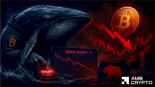 比特币鲸鱼下了 3100 万美元的空头赌注——BTC 会再次跌至 6 万美元吗?