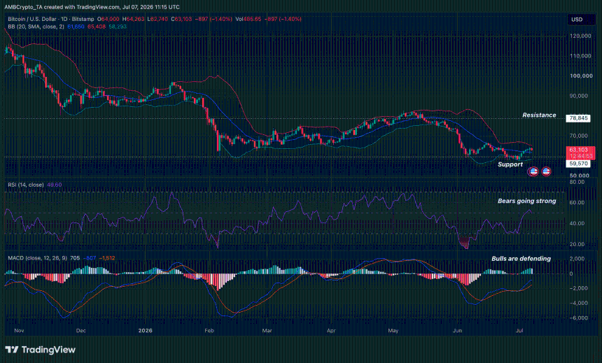 BTC market dynamics