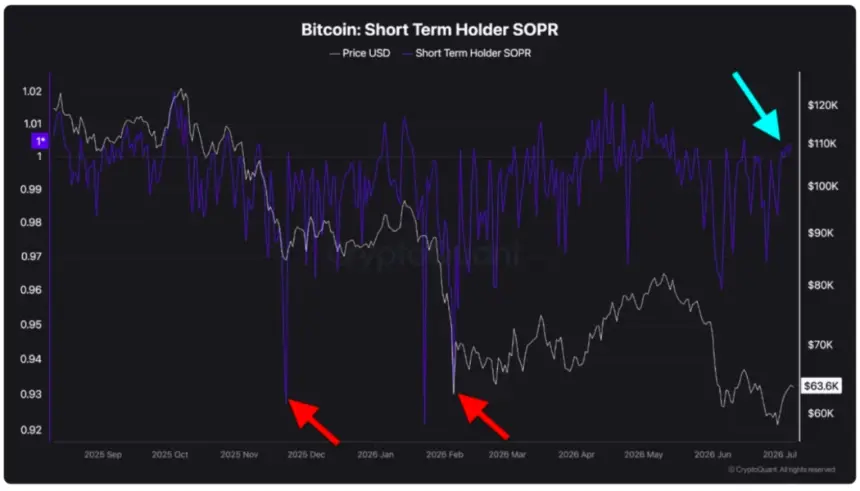 Analysts Declare 'Textbook Bitcoin Bottom' as Speculators Eye $65K Recovery