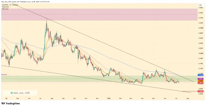ALGO Price Risks Drop to $0.05 Despite Strong On-Chain Growth 