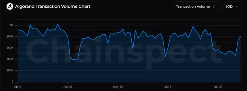 ALGO Price Risks Drop to $0.05 Despite Strong On-Chain Growth 