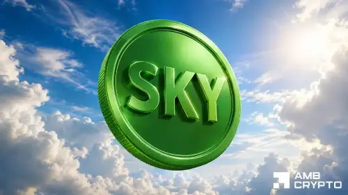 绘制 SKY 加密货币至 0.067 美元的路径 – 多头能否保持涨势?