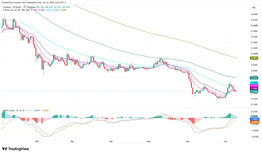 Cardano (ADA) Climbs as Hoskinson Denies Exit Rumors Ahead of Chang Upgrade
