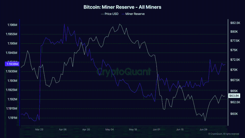 Bitcoin Miner Reserve - All Miners-2