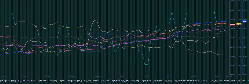 BTC supply distribution