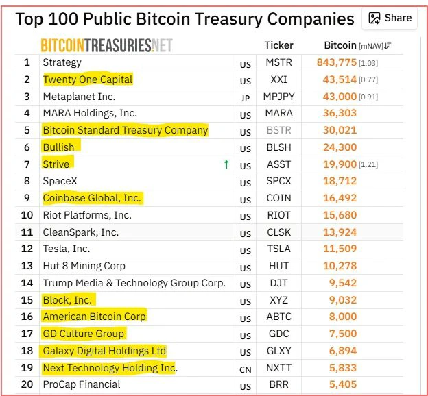 Bitcoin Treasury Strategy Splits as Corporate Holders Take Different Paths