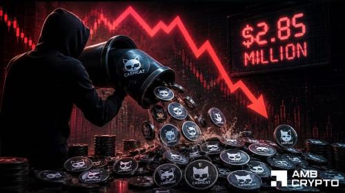 CASHCAT暴跌32%:鲸鱼套现285万美元,0.10美元支撑位能否守住?