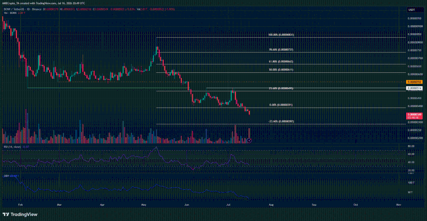 BONK 1-day Chart