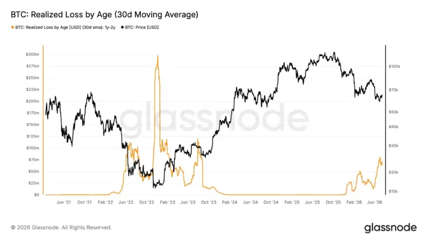Bitcoin - Realized Loss by Age. Source: X/@cryptovizart