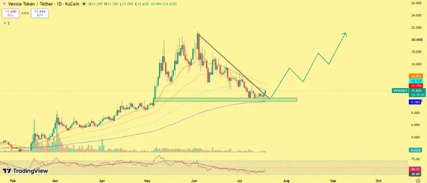 Venice Token VVV 飙升12%
