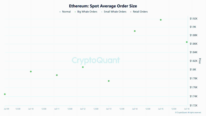 Ethereum spot average order size