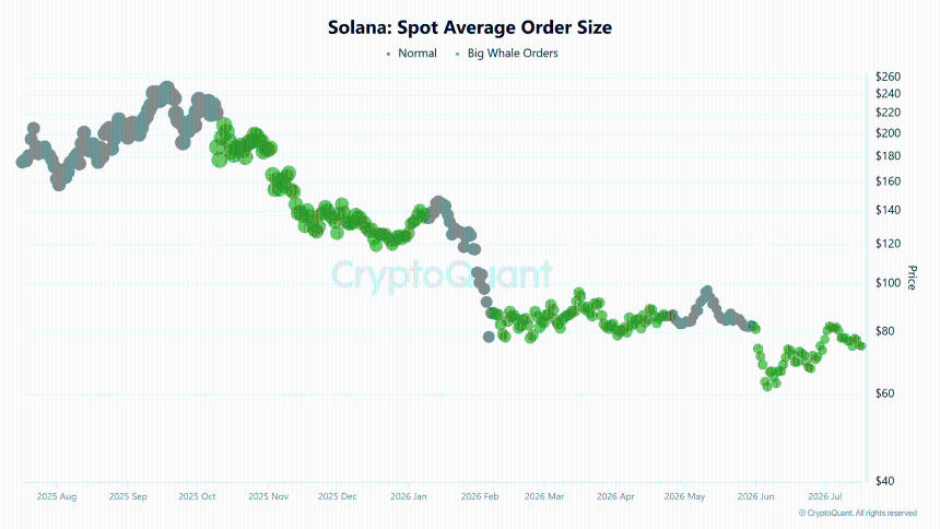 Solana Spot Average Order Size