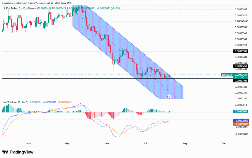 SHIB price action