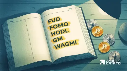 解密加密俚语:从HODL到WAGMI,这些流行词背后的市场心理学与社区文化