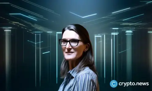 Cathie Wood的ARK Invest斥资2045万美元买入SpaceX股票,次日股价飙升7.1%获利145万美元