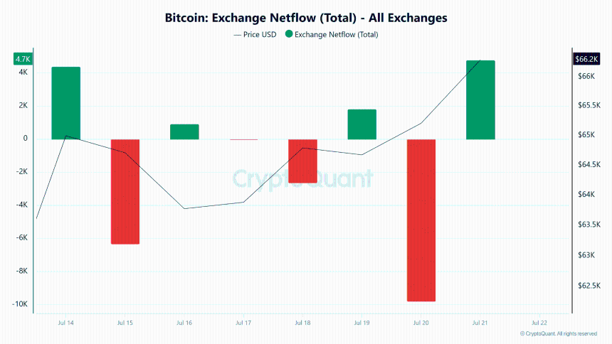 Bitcoin exchange netflow