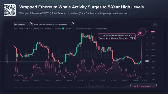ETH Whale Transactions