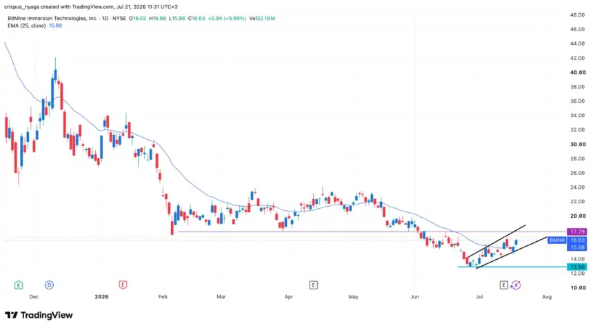 bitmine stock chart