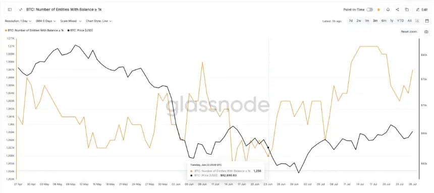 Entities Holding 1,000 BTC