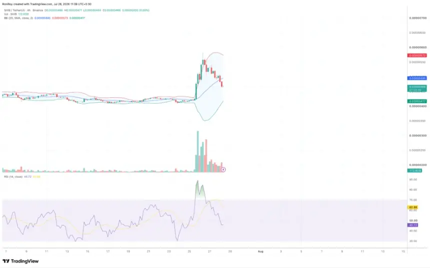 Shiba Inu price chart daily