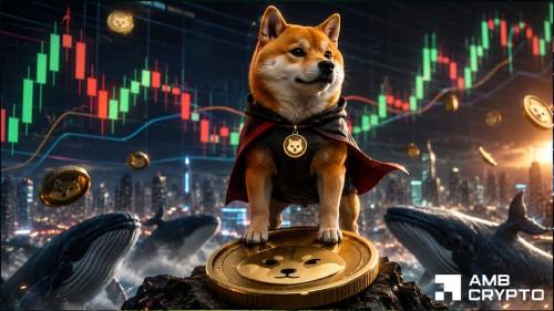 柴犬币暴涨后进入冷却阶段？链上数据揭示散户追高与大户获利并存