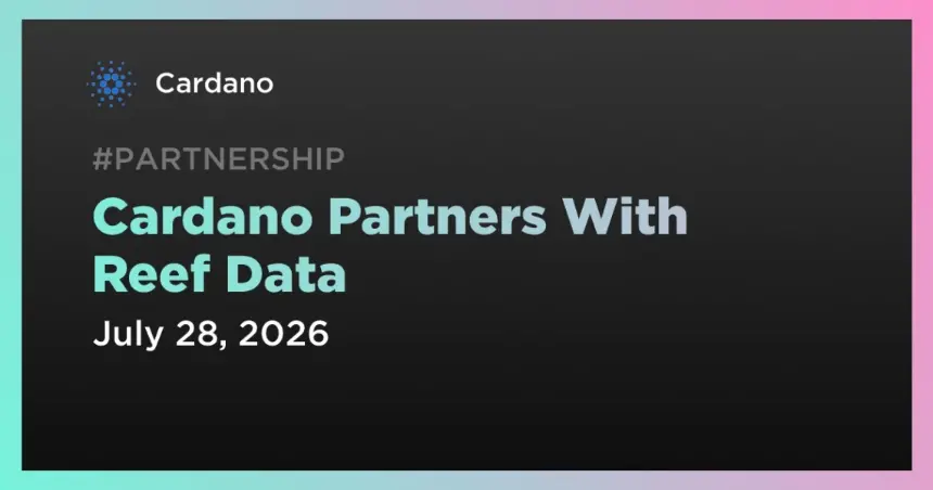 Partnership
