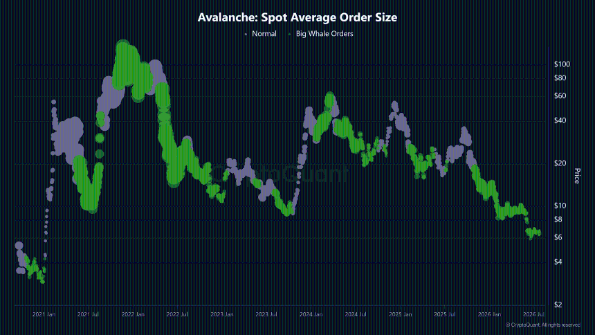 Avalanche Spot Average Order Size