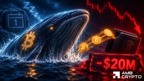 巨鲸抛售625枚BTC亏损超2000万美元,比特币长期持有者仍稳如泰山