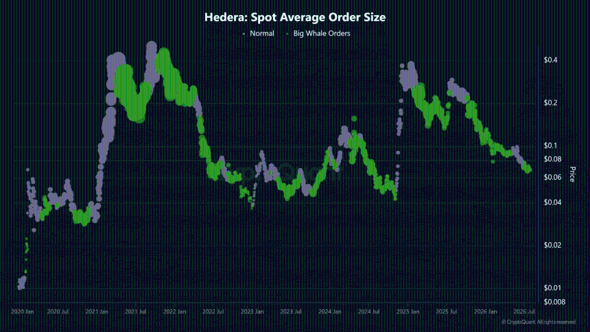 HBAR ETF