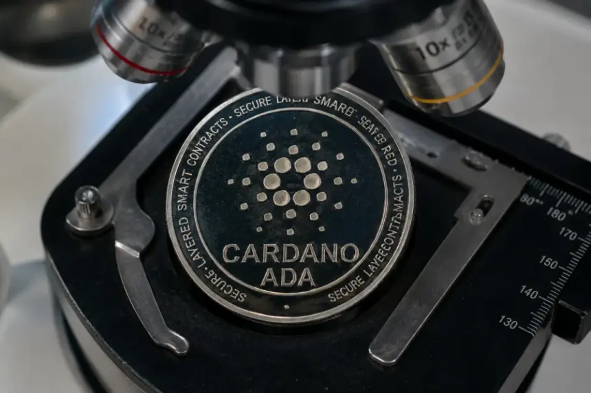Will ADA price rally as Cardano whales buy 240M tokens?