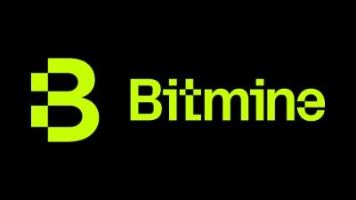 Bitmine Immersion Technologies Logo