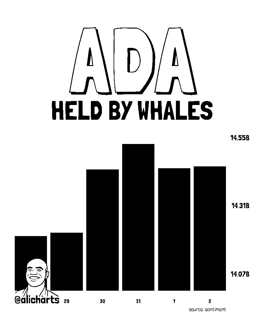 Cardano whales buy 240M ADA – Is it enough to fuel a $0.20 breakout?