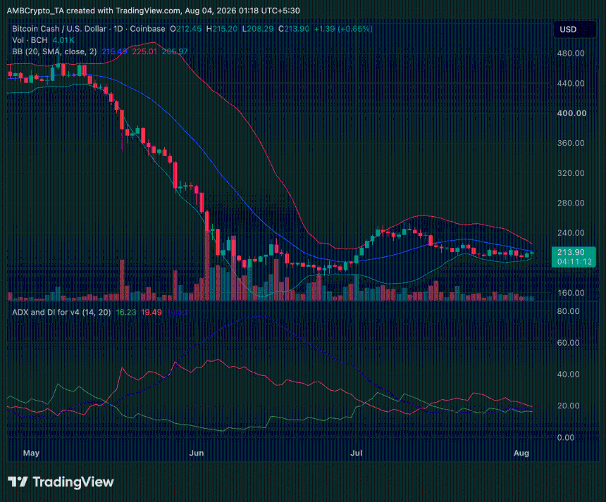 Bitcoin Cash daily timeframe chart