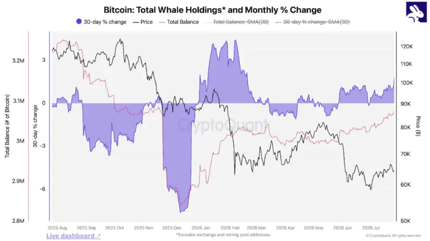 Whale accumulation signals late-stage bear market as Bitcoin holds above realized price: CryptoQuant
