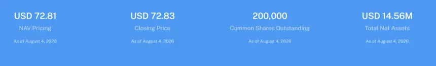 Hashdex Common Shares Outstanding. Source: Hashdex Website