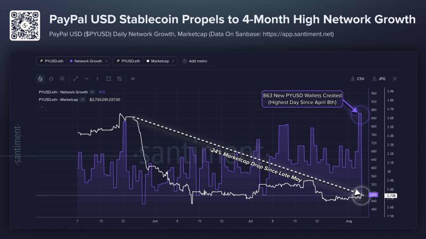 PayPal USD adds 863 wallets despite 24% market cap drop – Here’s how!