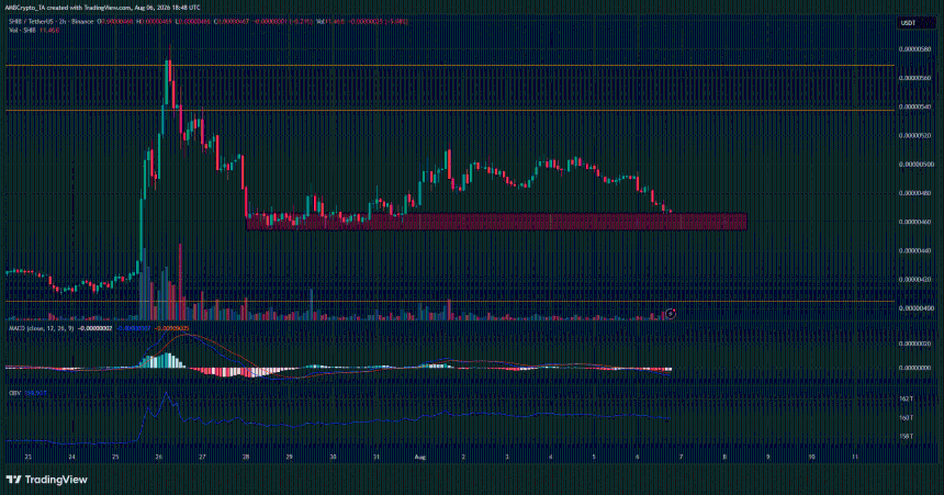 Shiba Inu 2-hour Chart