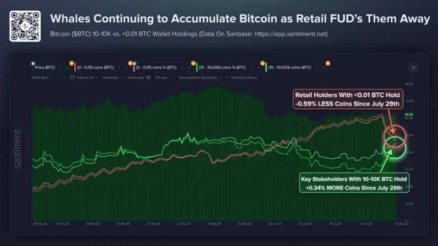Bitcoin whale accumulation chart