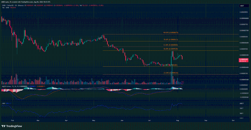 Shiba Inu 1-day Chart
