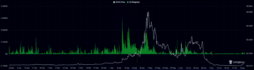 SKYAI weighted funding rates