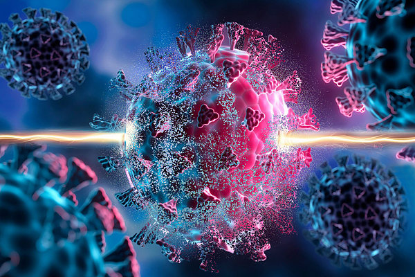 Scientists discover compounds that help cells fight a wide range of viruses  | MIT News | Massachusetts Institute of Technology