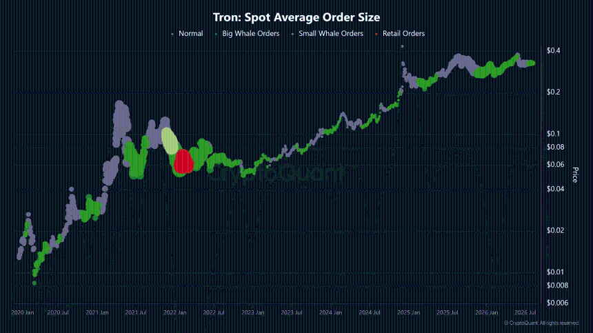 Tron Average Order Size