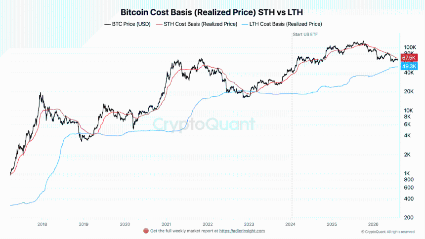 Bitcoin Cost Basis