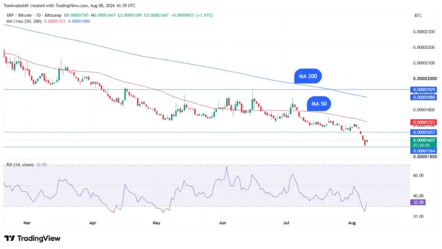 TradingView